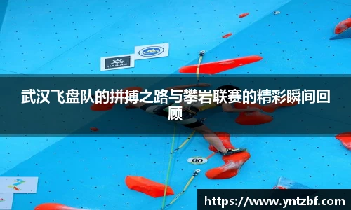 武汉飞盘队的拼搏之路与攀岩联赛的精彩瞬间回顾